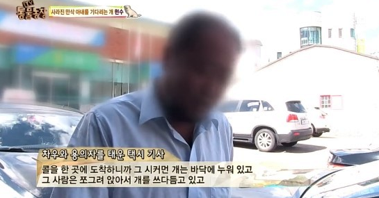 [혈압주의] 동물농장에 나온 만삭 차우차우 납치사건 | 인스티즈