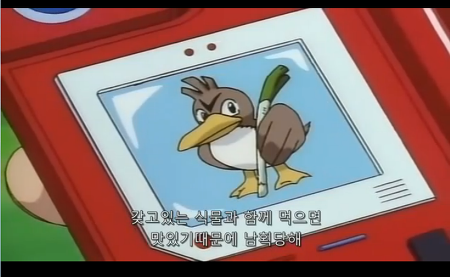 [고북손의포켓몬도감] 파오리는 왜 만들었을까 | 인스티즈