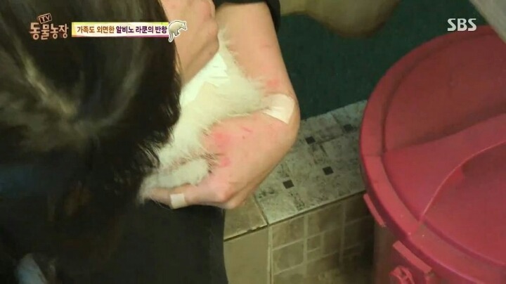 동물농장에 나온 여자 사육사 | 인스티즈