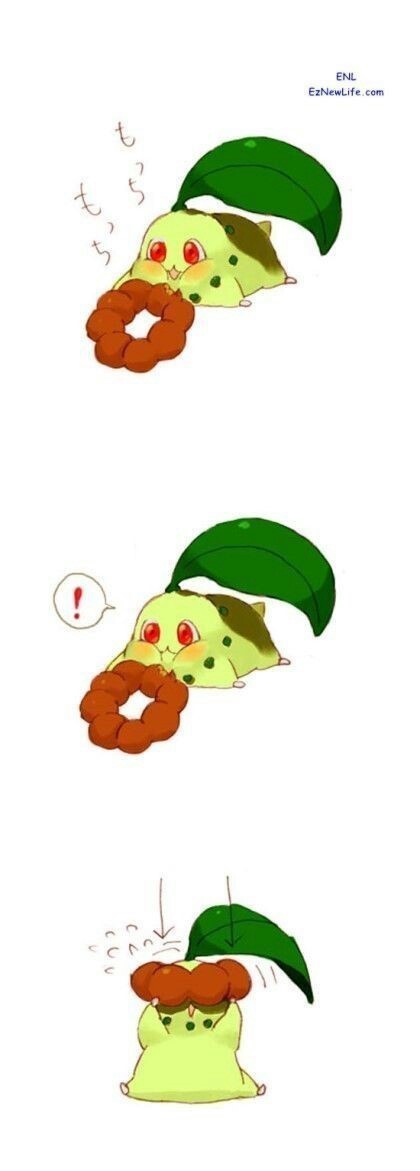 포켓몬스터 진화하고 싶은 치코리타 .jpg | 인스티즈