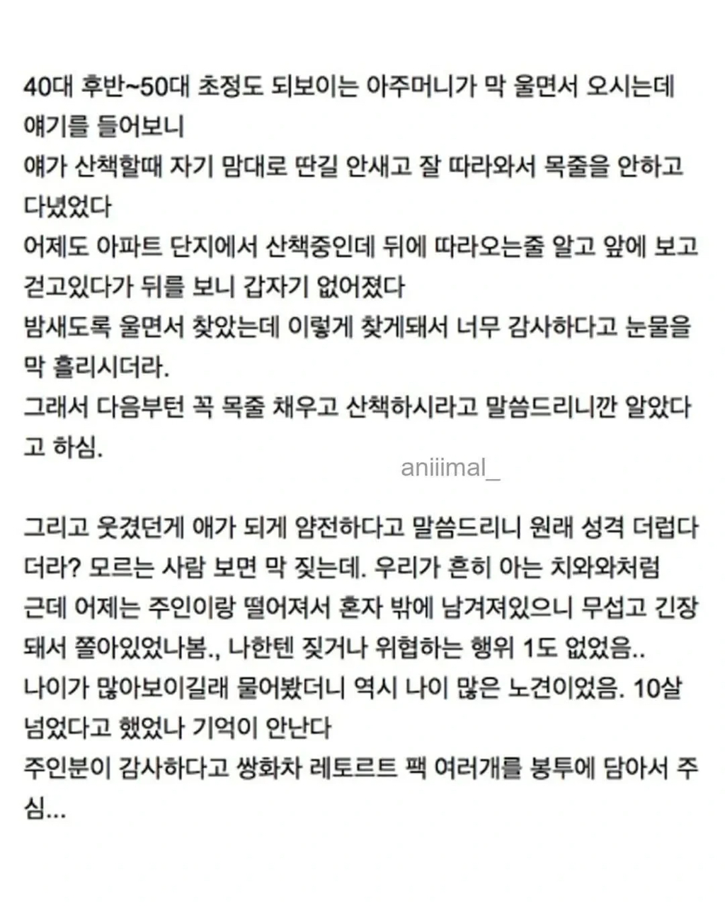 아파트에 웬 댕댕이가 돌아다니는데 어캄? | 인스티즈