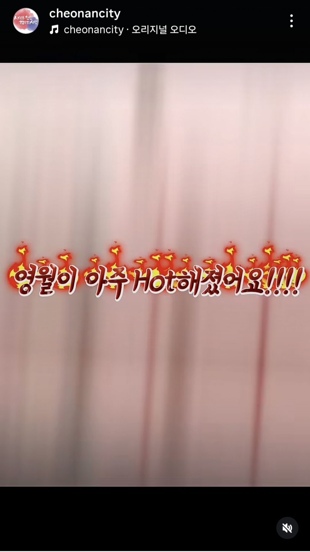 [ 왕사남 흥행 열풍에 어떻게든 숟가락 얹는 지자체들 | 인스티즈