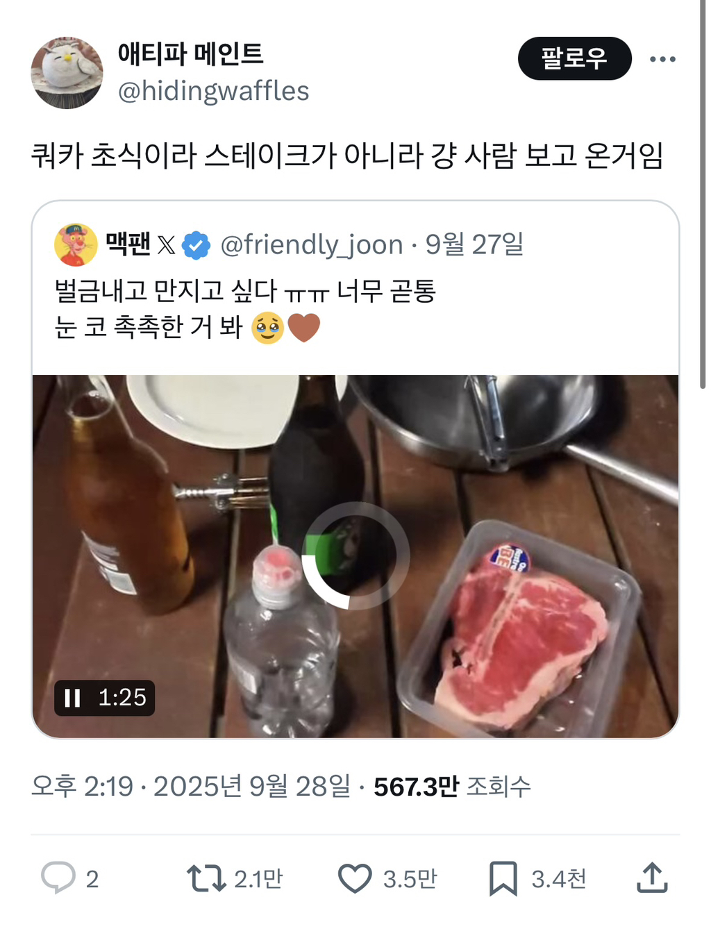 쿼카 걍 만지면 안 돼? 누가 알아? | 인스티즈