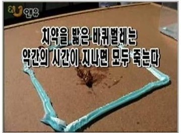 군대에 바퀴벌레가없는이유 | 인스티즈