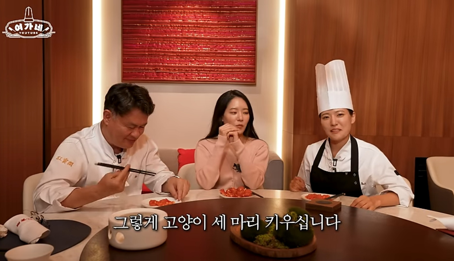 고양이 3마리 키운다는 여경래 셰프 | 인스티즈