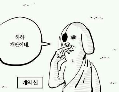 절친들 단톡방에 쓰기 좋은 짤 50가지 | 인스티즈