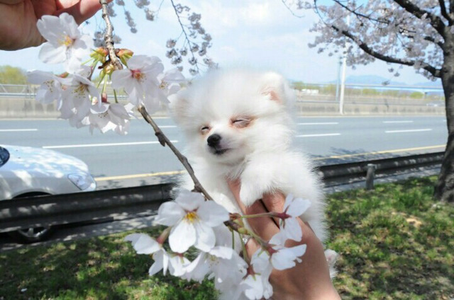 원문안보고 댓글쓰러 달려드는 쿵철이 댓글모음 | 인스티즈