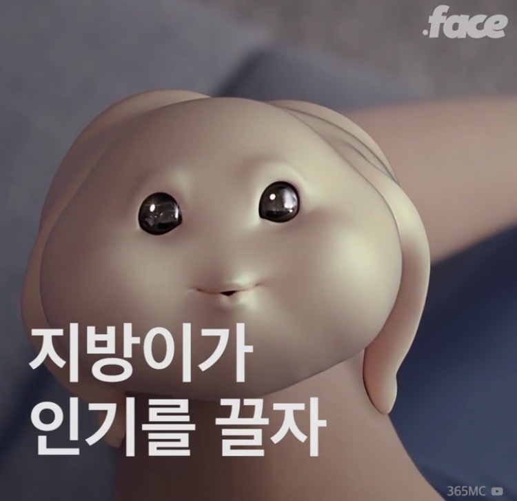 지방이 인형 출생의 비밀 | 인스티즈