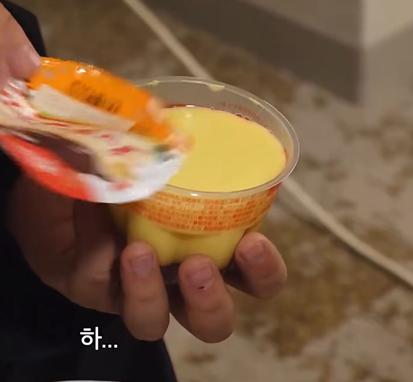 뭐야 일본 푸딩 별로네..... | 인스티즈