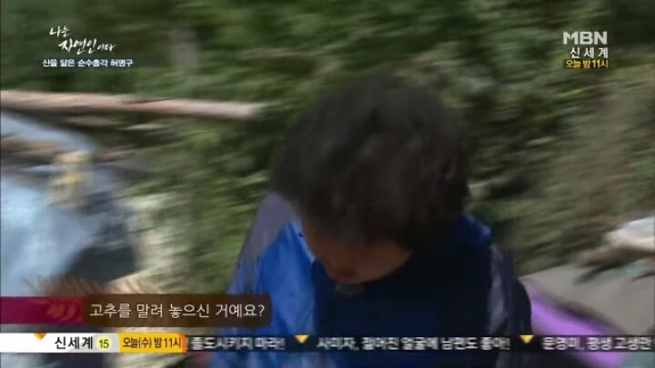 나는 자연인이다 말벌킬러 허명구씨ㅋㅋㅋㅋㅋㅋ | 인스티즈