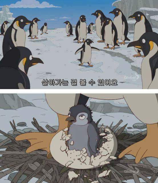 심슨에서 말하는 인생이란 | 인스티즈