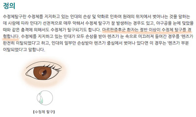 여자친구 리더 소원의 분량이 4.5초인 이유를 의학적으로 분석해보기 | 인스티즈