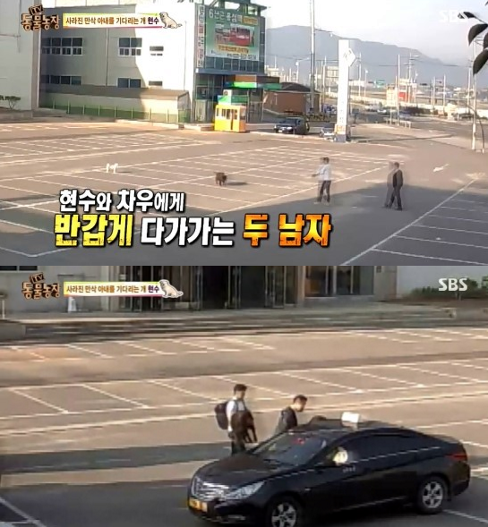 [혈압주의] 동물농장에 나온 만삭 차우차우 납치사건 | 인스티즈