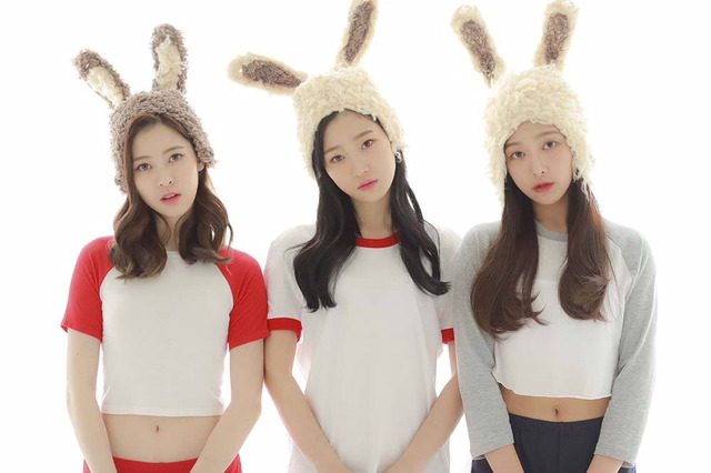 로타랑 또 작업한 다이아 | 인스티즈
