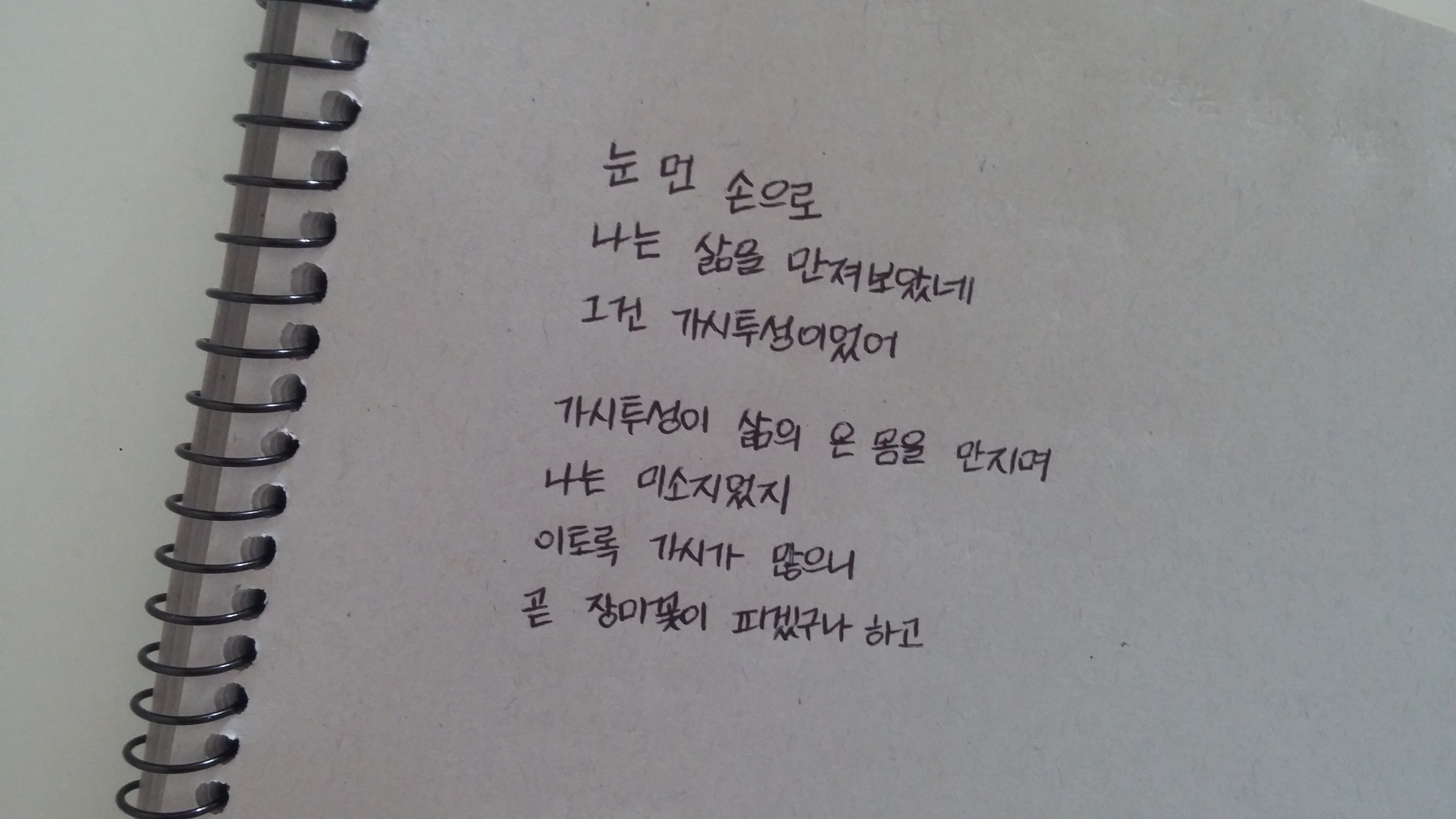 외로움과 외사랑에 지친 분들을 위한 시/글귀 | 인스티즈