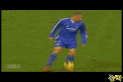 전성기 시절 호돈.gif | 인스티즈