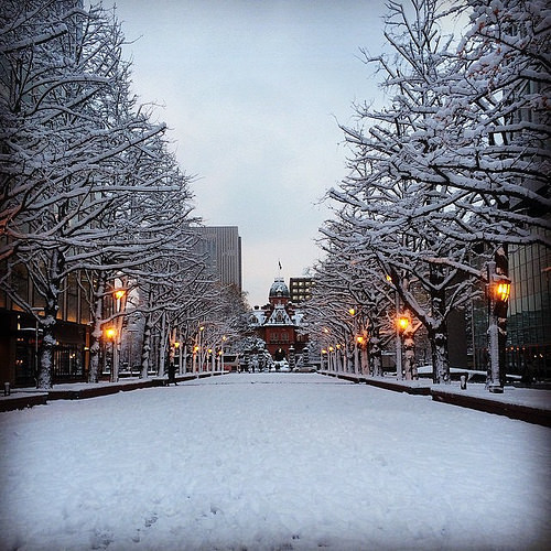 여시투어 겨울여행에 제격인 도시, 일본 홋카이도 (브금주의) | 인스티즈