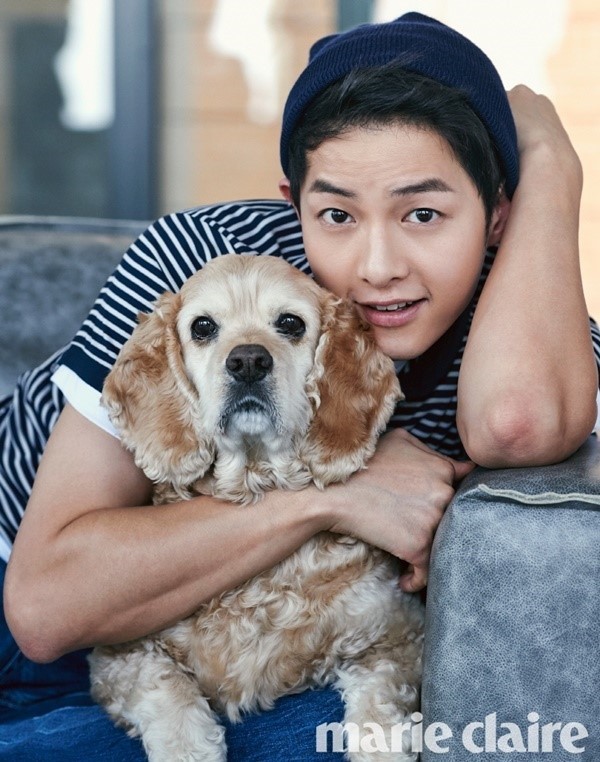 남자 연예인들 주량 모음 | 인스티즈