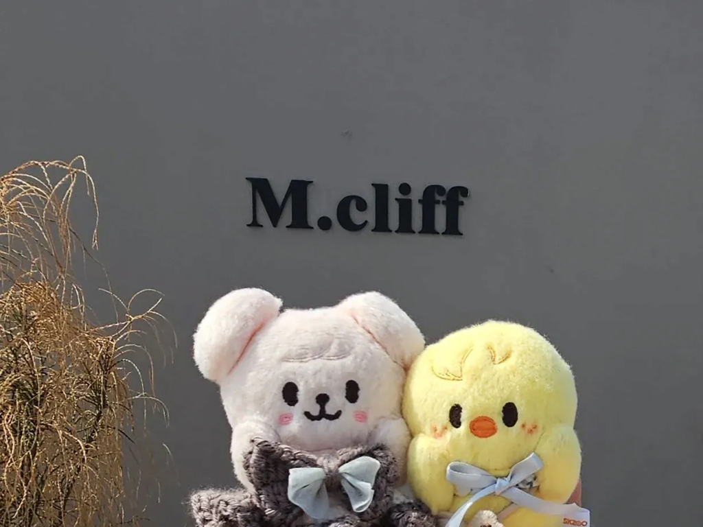 인형으로 한국여행 인증사진 남기던 일본인 | 인스티즈