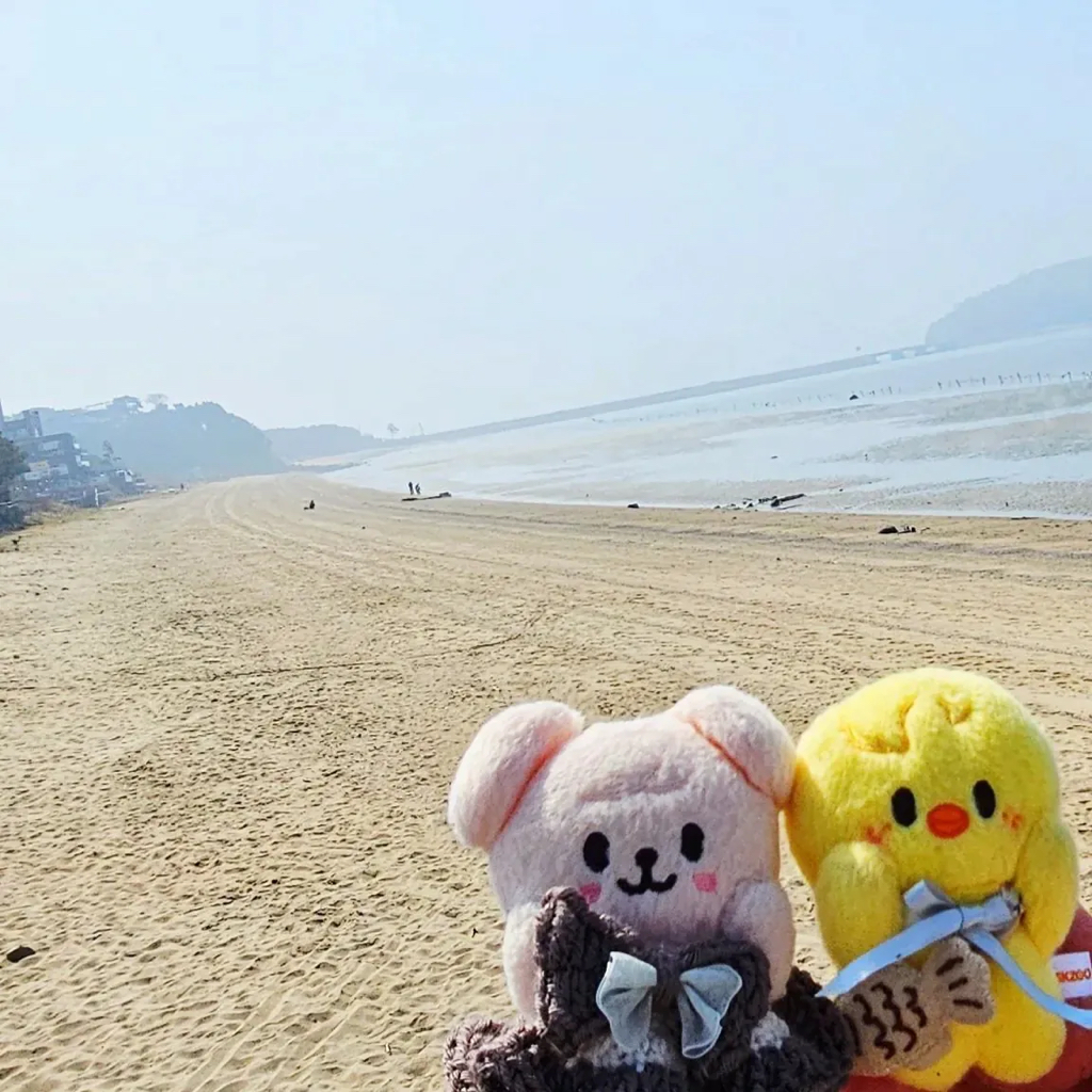 인형으로 한국여행 인증사진 남기던 일본인 | 인스티즈