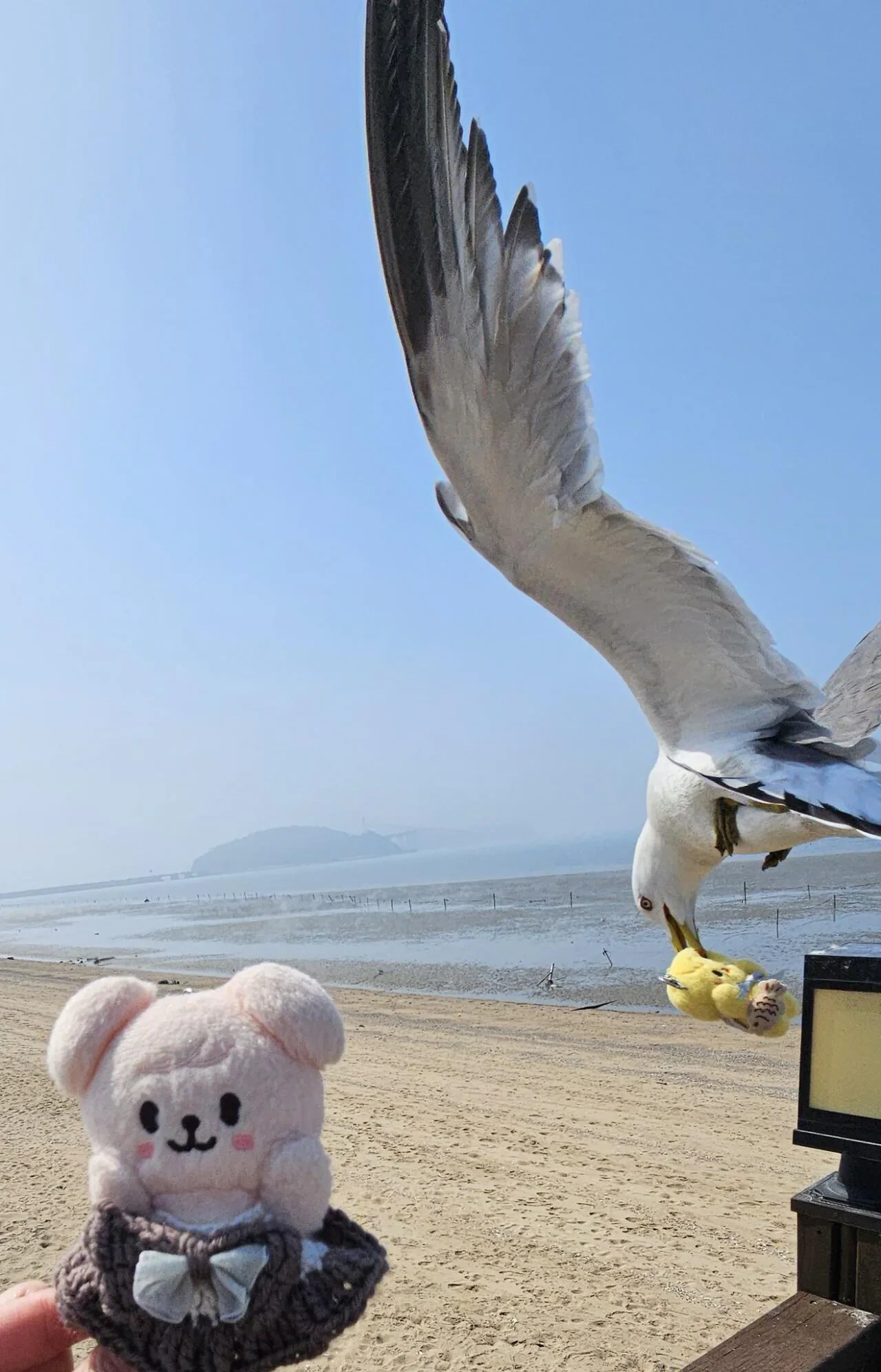 인천의 매운맛을 본 일본인 | 인스티즈
