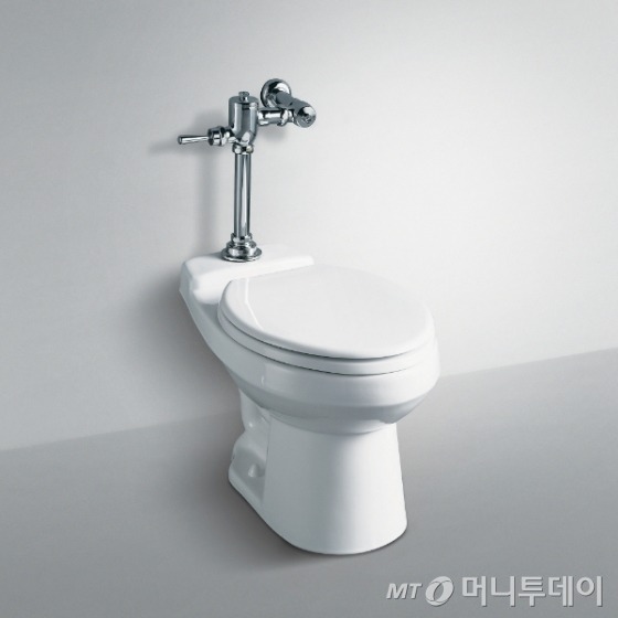 본인에게 공공 화장실 변기 물 내리기 제일 애매한거.jpg | 인스티즈