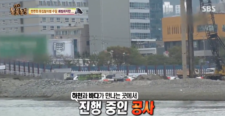 매일 생선털리는 횟집사장님 (Feat.달수) | 인스티즈