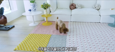 내가 본 연예인 집들 중 제일 짱예롭고 센스있는 것 같은 최화정 집 인테리어.jpg | 인스티즈