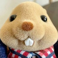 친구랑 동거 반년차.twt | 인스티즈