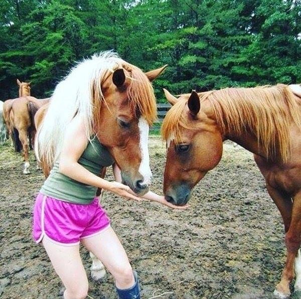 뇌정지 짤모음.jpg | 인스티즈
