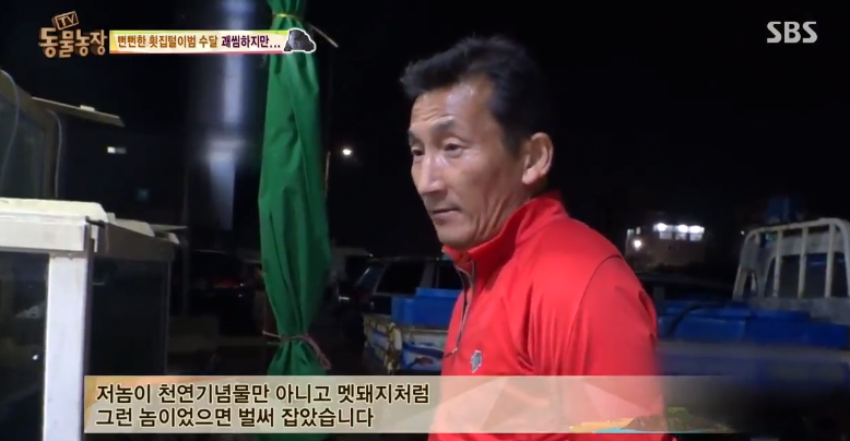 매일 생선털리는 횟집사장님 (Feat.달수) | 인스티즈