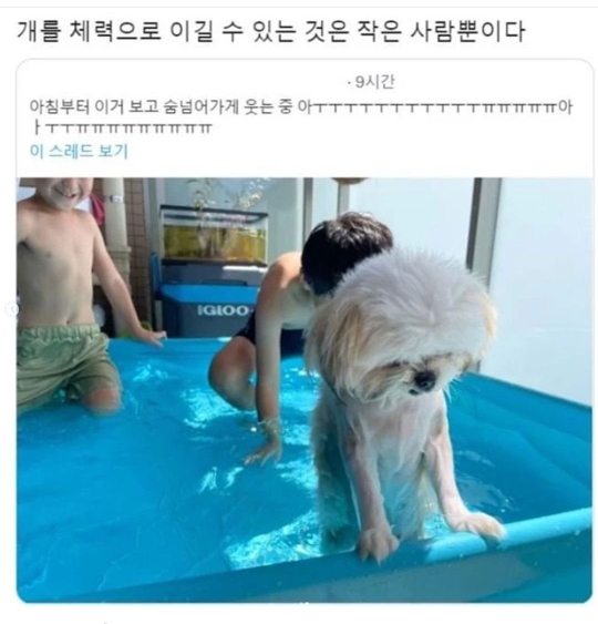 아ㅋㅋㅋㅠㅠ 우리할머니 영어공부한 거 정말웃겨 | 인스티즈