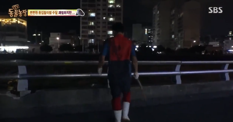 매일 생선털리는 횟집사장님 (Feat.달수) | 인스티즈