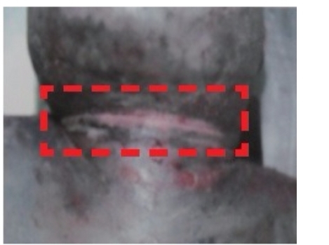 강남경찰서 역삼지구대 형사, 유흥업소 수사 도중 의문사 | 인스티즈