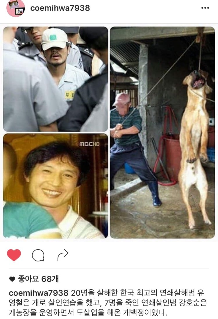 반려동물 입양원하는 쭉녀들!!!!! 강아지키우고잇는 사람도 봐줘 | 인스티즈