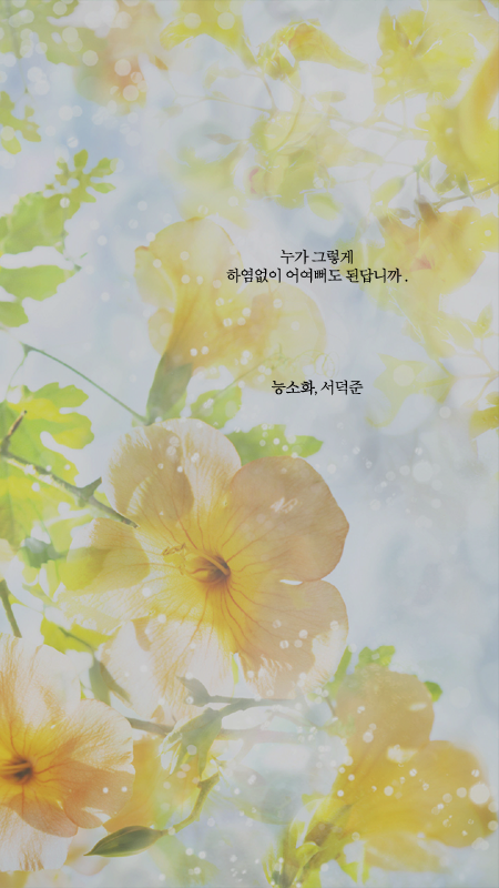 서덕준 시 모음 1 | 인스티즈