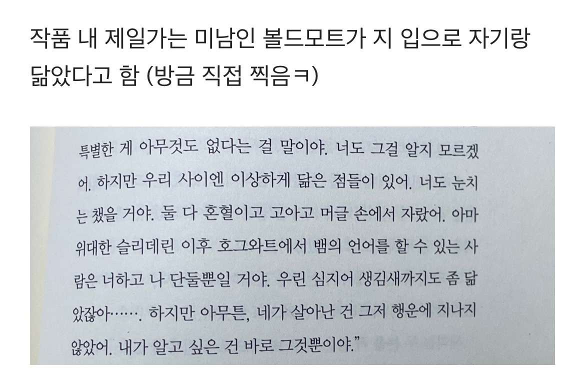 해리포터 외모에 대한 고찰.ㅋㅋㅋㅋjpg | 인스티즈