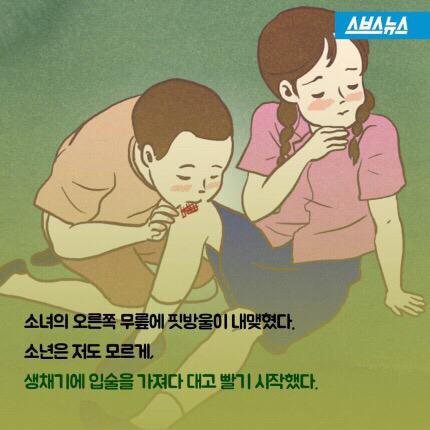 황순원의 소나기에서 소녀가 죽은 이유 | 인스티즈