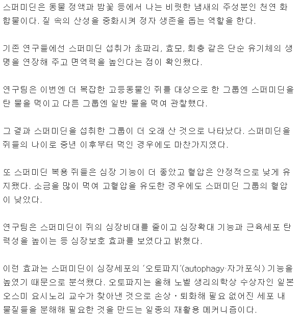 정액 냄새 성분 '스퍼미딘', 수명 연장ㆍ심혈관 건강에 도움된다 | 인스티즈