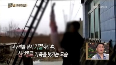 이번 겨울에 오리털 패딩 만원에 판다는 브랜드 .JPG | 인스티즈