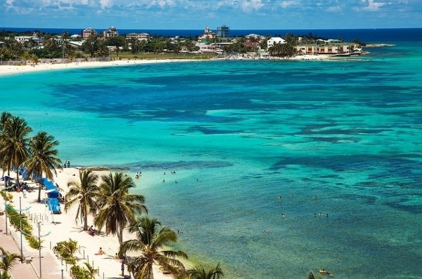 우리나라가 커피를 가장 많이 수입하는 국가 Top10 | 인스티즈