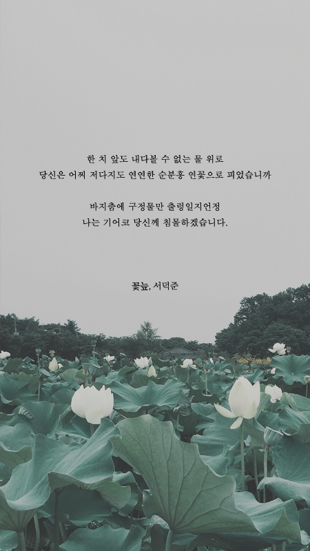 서덕준 시 모음 1 | 인스티즈