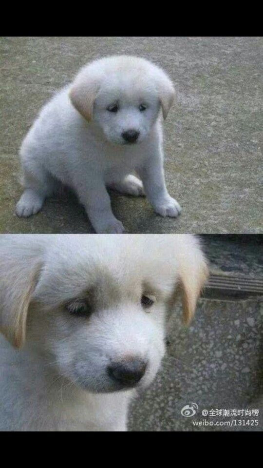 정부부처, 공공기관, 공기업 서비스질은 대체로 시민의 인식과도 밀접하다 | 인스티즈