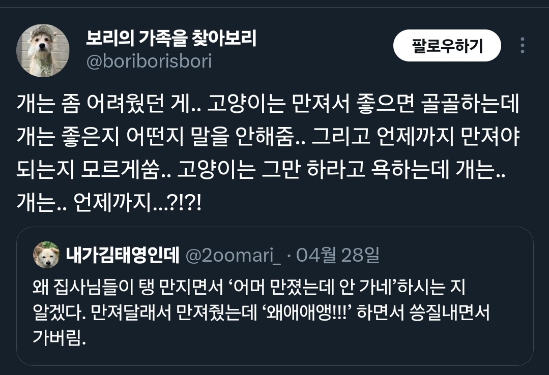 개는 좀 어려웠던 게.. 고양이는 만져서 좋으면 골골하는데 | 인스티즈