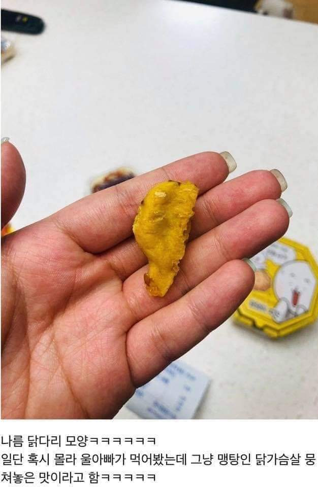 댕댕이용 치킨 시켜본 후기 | 인스티즈