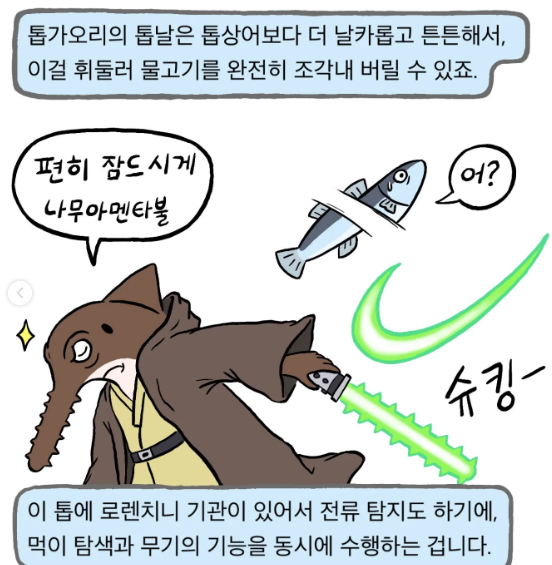 개쎄게 생긴 물고기 | 인스티즈