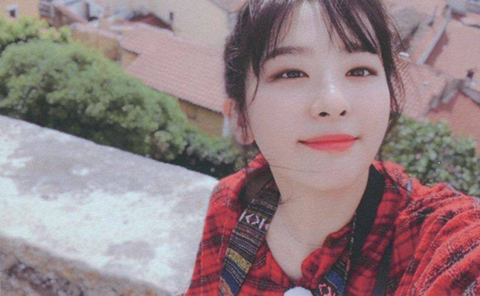 레드벨벳 슬기 여친느낌 짤.jpg | 인스티즈