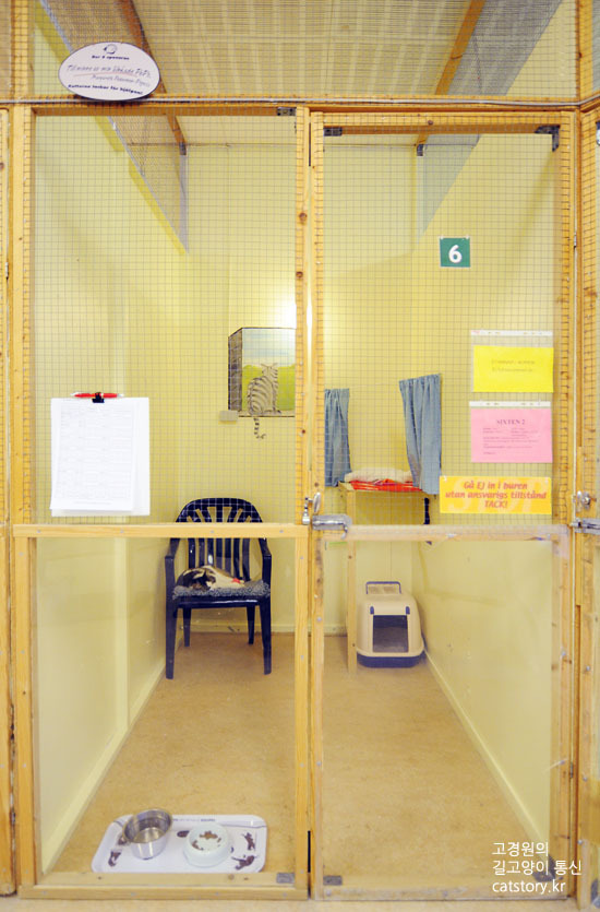 스웨덴의 고양이 보호소.bgm | 인스티즈