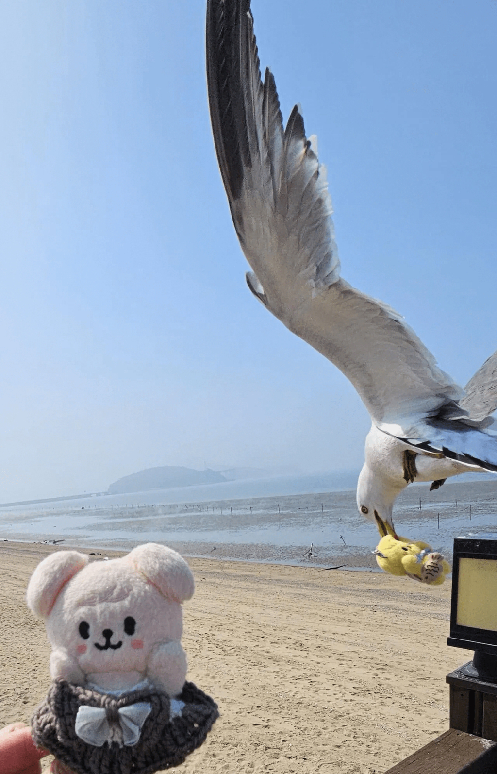 인형으로 한국여행 인증사진 남기던 일본인 | 인스티즈