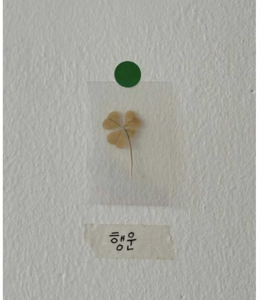 2026년 4월의 나에게 쓰는 편지 💌📮📩🍀 | 인스티즈